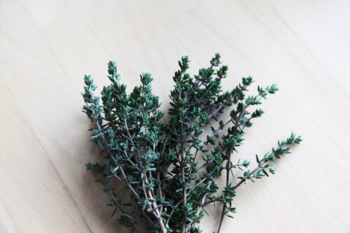 thymian, herb, herbs, nature, floral, plant, organic, green, healthy, spices, herbal, aromatic, on, wooden, wood, thymian, thymian, thymian, thymian, thymian