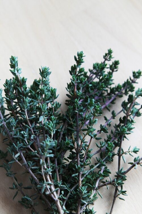 thymian, herb, herbs, nature, floral, plant, organic, green, healthy, spices, herbal, aromatic, on, wooden, wood, thymian, thymian, thymian, thymian, thymian